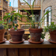 Back porch of a building with four flower pots full of greenery